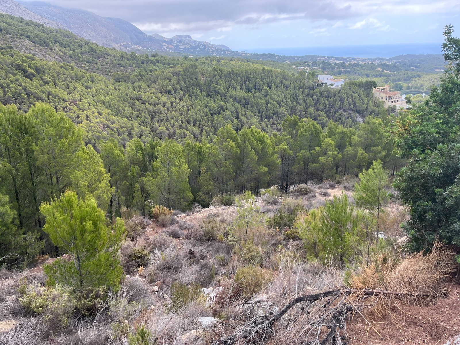 SE5172 - Verkauf. Gewerbliche Räume in Altea