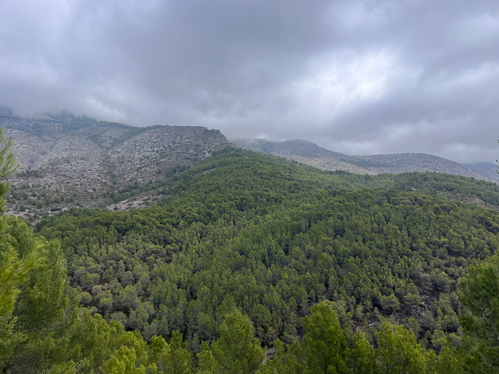 For Sale. Commercial premises in Altea