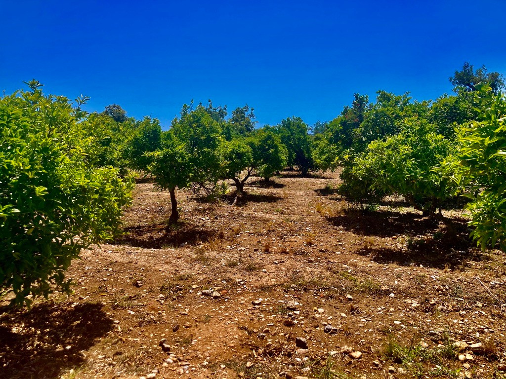 Verkauf. Finca in Callosa de Ensarriá