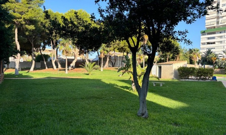 Rynek Wtórny - Apartament -
Benidorm