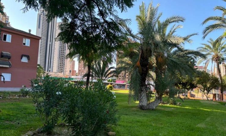 Rynek Wtórny - Apartament -
Benidorm