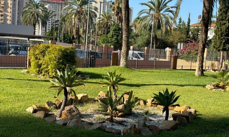 Rynek Wtórny - Apartament -
Benidorm