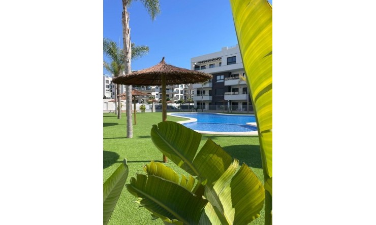 Resale - Apartment -
Villamartin