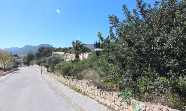 Nouvelle construction - Villa -
Alcalalí