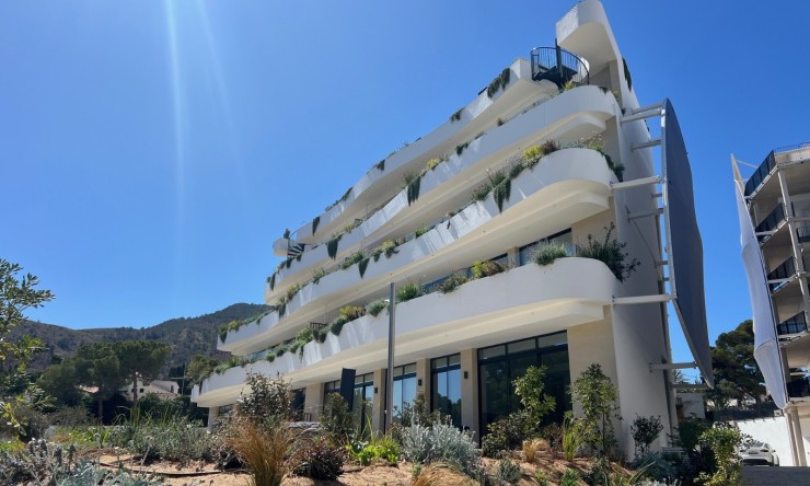 Nowe budownictwo - Apartament -
Albir