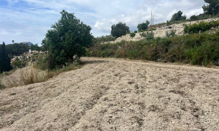 Resale - Plot -
Benissa