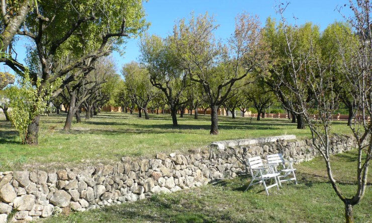 Nueva construcción  - Villa -
Pedreguer