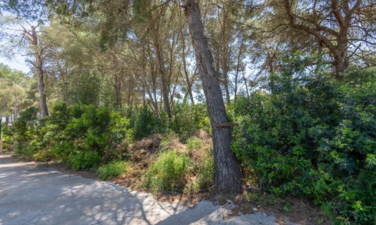 Reventa - Parcela -
Jávea - Costa Nova