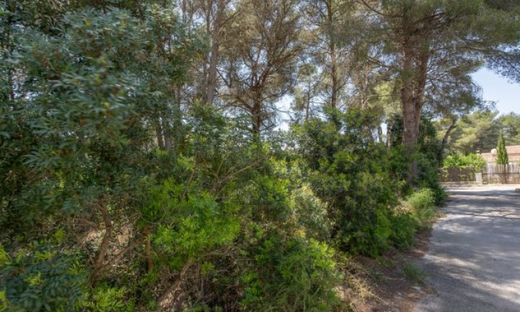 Reventa - Parcela -
Jávea - Costa Nova