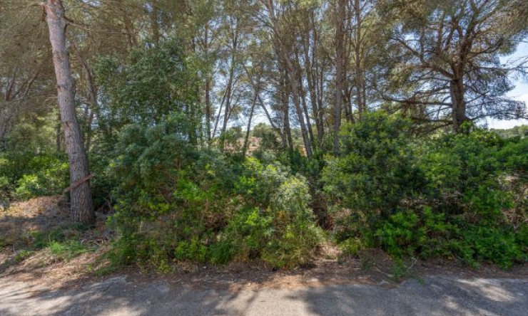 Reventa - Parcela -
Jávea - Costa Nova