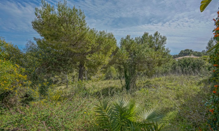 Nueva construcción  - Villa -
Benitachell - Urbanización Raco de Nadal
