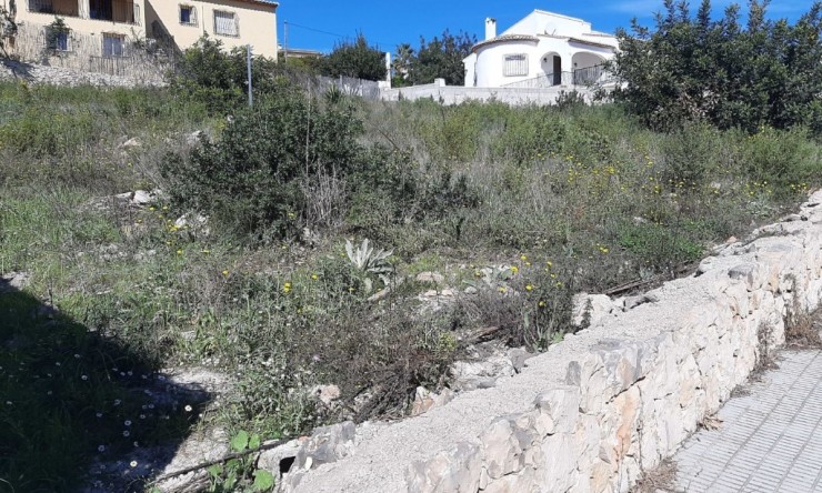Nieuwbouw Woningen - Villa -
Alcalalí