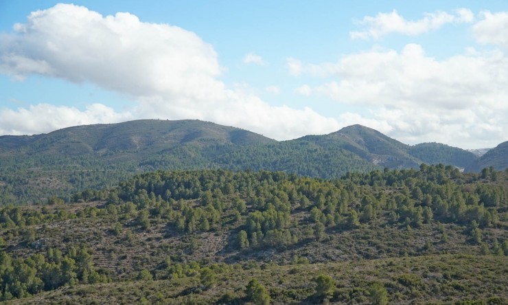 Revente - Villa -
Pedreguer