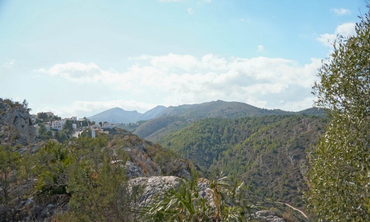 Revente - Villa -
Pedreguer