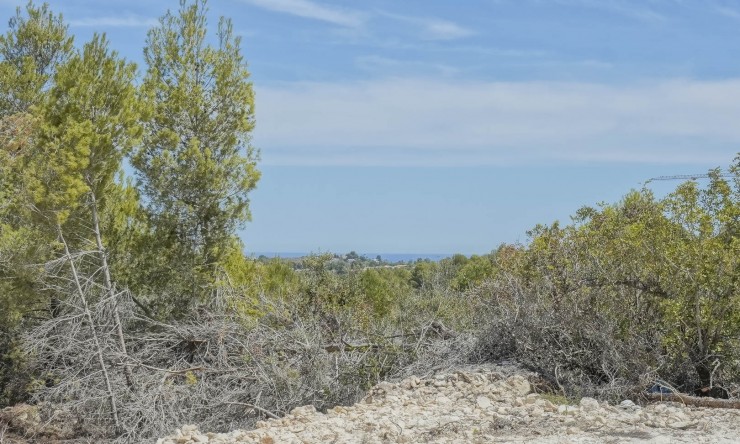 Nueva construcción  - Villa -
Jávea - Villes del Vent