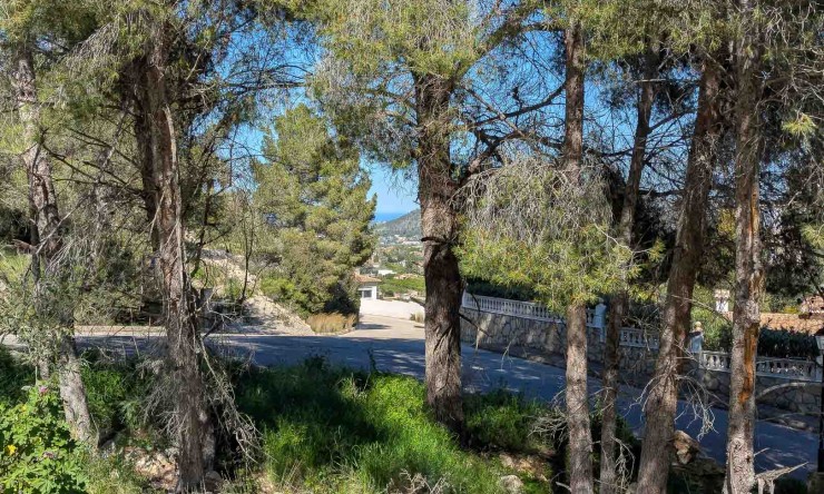Nueva construcción  - Villa -
Pedreguer - Monte Solana