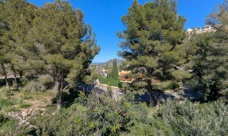 Nueva construcción  - Villa -
Pedreguer - Monte Solana
