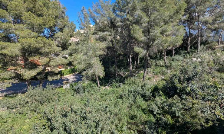 Nueva construcción  - Villa -
Pedreguer - Monte Solana