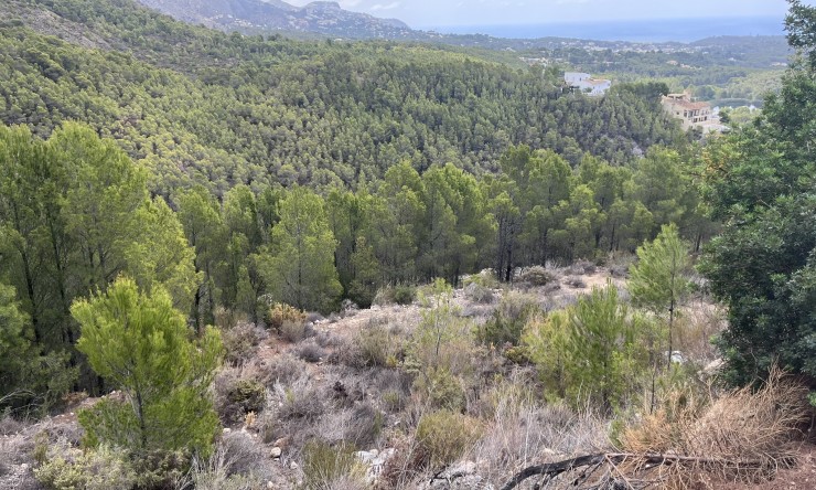 Herverkoop -  -
Altea