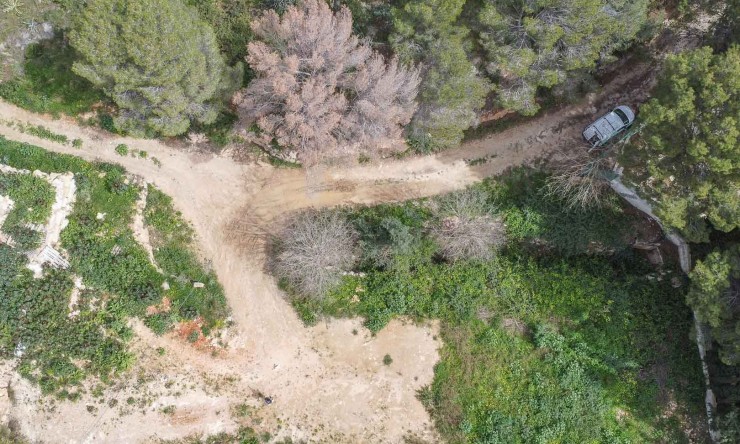 Nueva construcción  - Villa -
Jávea - La Corona