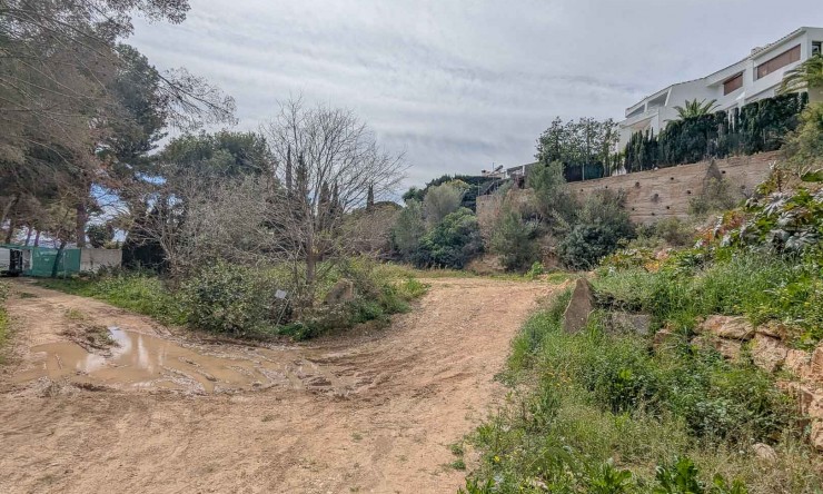 Nueva construcción  - Villa -
Jávea - La Corona