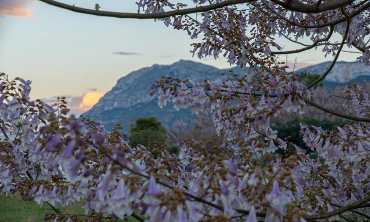 Reventa - Apartamento -
Denia - Els Molins