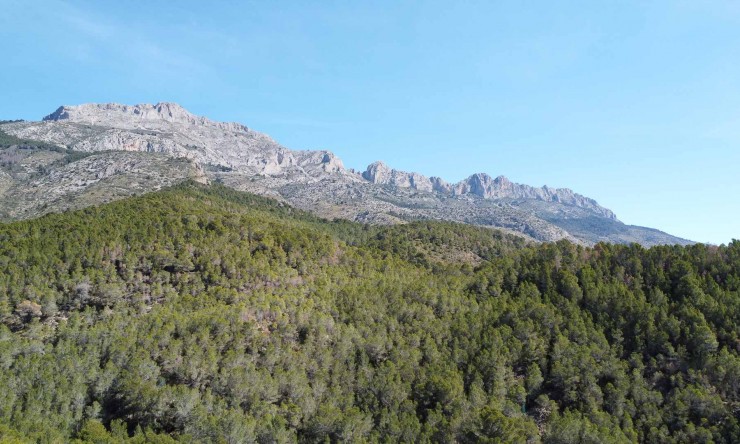 Reventa - Villa -
Altea - Santa Clara