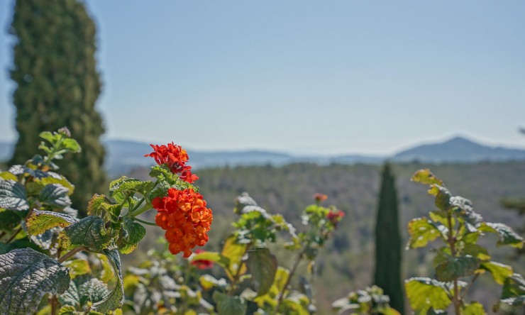 Resale - Villa -
Benissa