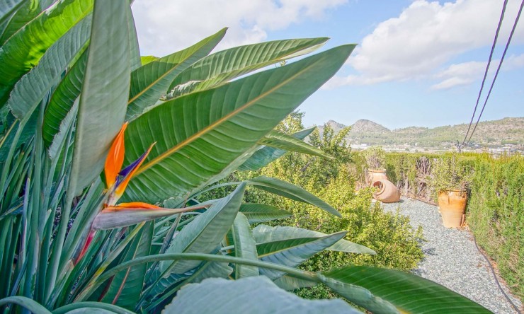 Resale - Villa -
Pedreguer