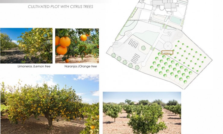 Nueva construcción  - Villa -
Altea - Jardines de Alhama