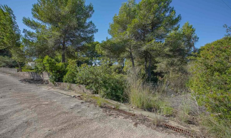 Reventa -  -
Jávea - Portichol