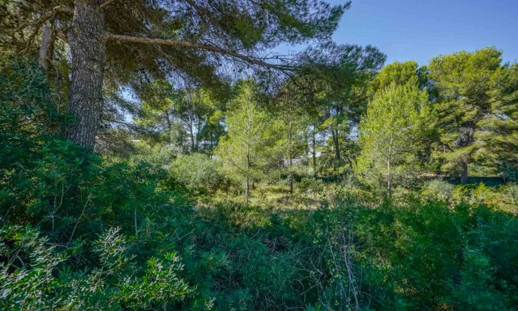 Reventa -  -
Jávea - Portichol