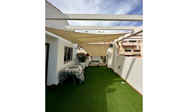 Reventa -  -
Benijofar