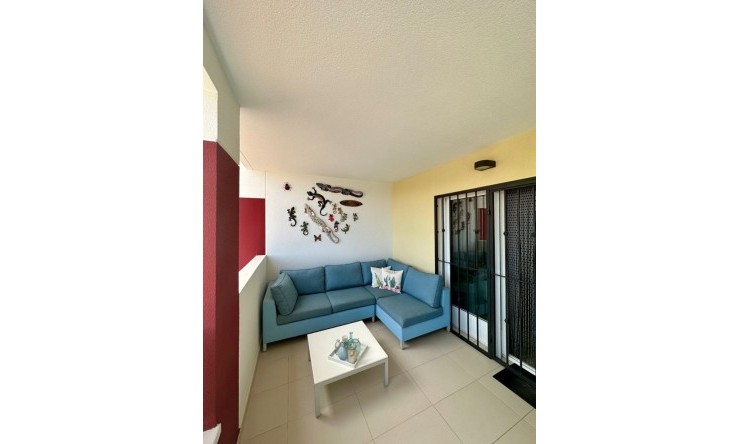 Reventa -  -
Benijofar