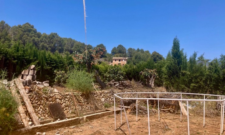 Rynek Wtórny - Finca -
Callosa De Ensarrià