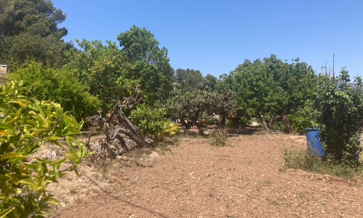 Rynek Wtórny - Finca -
Callosa De Ensarrià