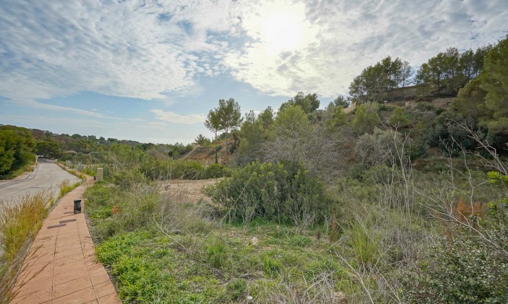 Nueva construcción  - Villa -
Benissa - La Fustera