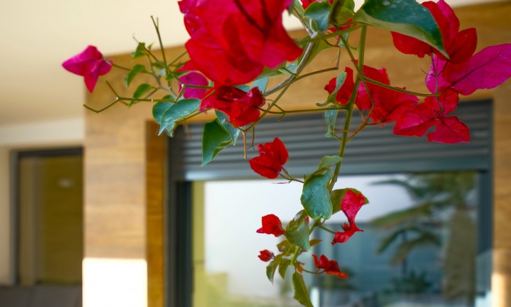 Reventa - Apartamento -
Benitachell - Cumbre del Sol