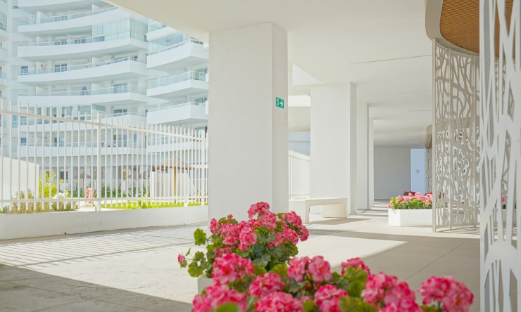 Wiederverkauf - Wohnung -
Canet de Berenguer