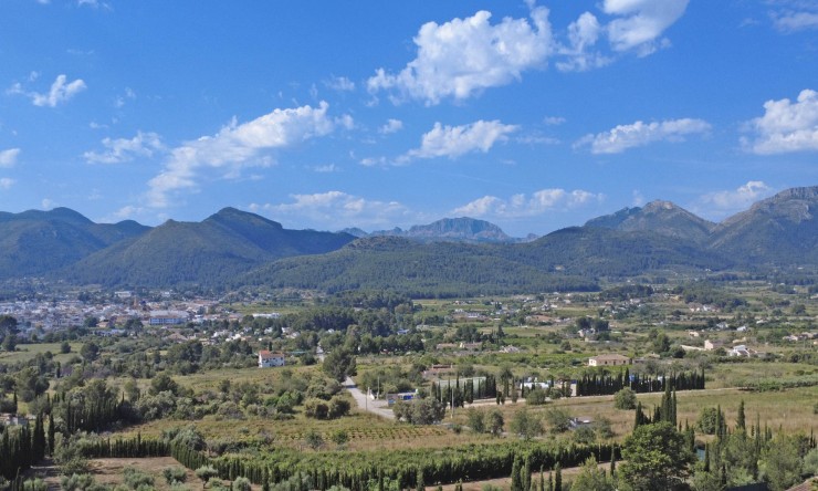 Revente - Villa -
Jalón