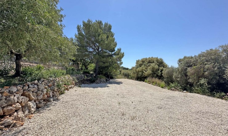 Revente - Villa -
Jalón