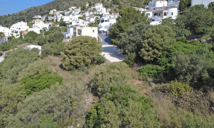 Revente - Villa -
Jalón