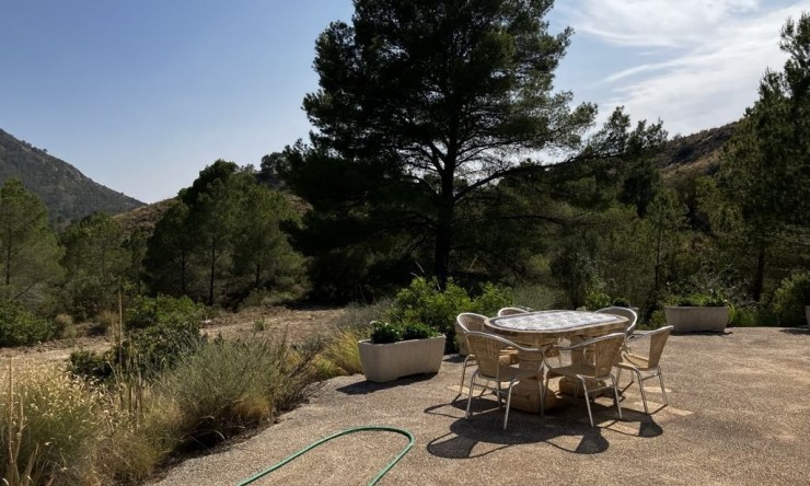 Resale - Apartment -
Orcheta