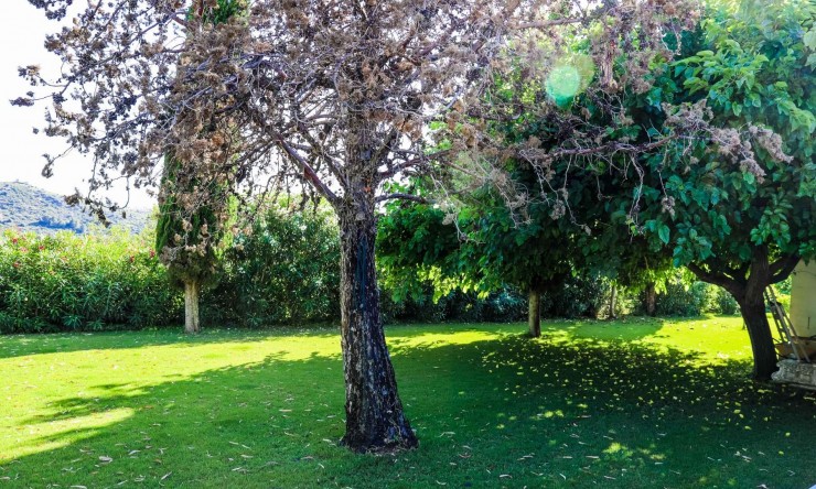 Resale - Villa -
Jávea - Jesús Pobre
