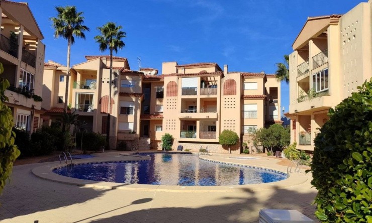 Resale - Apartment -
Albir