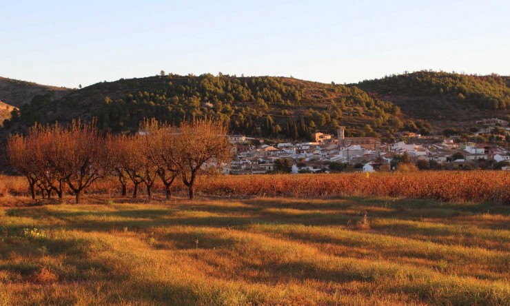 Nueva construcción  - Villa -
Lliber