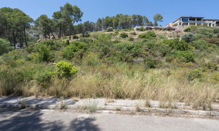 Nieuwbouw Woningen - Villa -
Alcalalí - La Solana Gardens