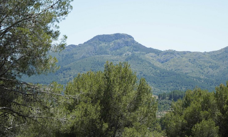 Nieuwbouw Woningen - Villa -
Alcalalí - La Solana Gardens
