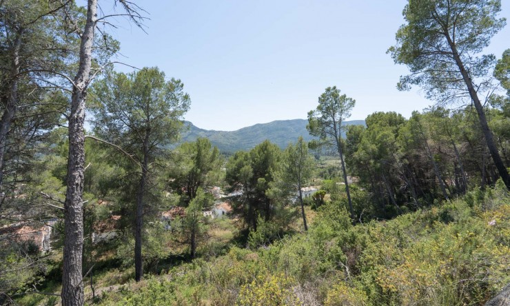 Nieuwbouw Woningen - Villa -
Alcalalí - La Solana Gardens