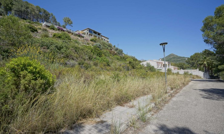 Nieuwbouw Woningen - Villa -
Alcalalí - La Solana Gardens